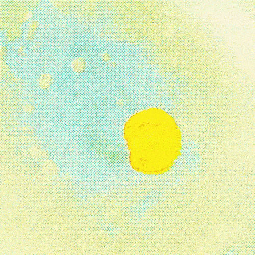 Animation Reel